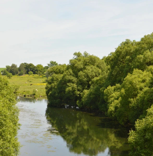 Село Нарышкино