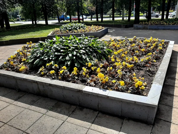 В сквере на ул. Первомайская