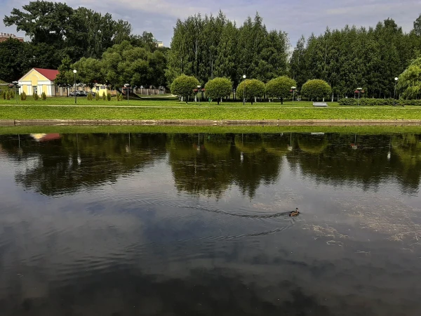 Река Дубровенка