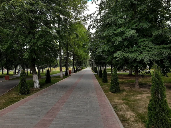 В парке "Липовая роща"