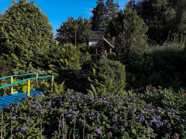 Агрогородки в Белыничском районе