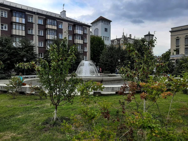 Сквер на улице Петербургской