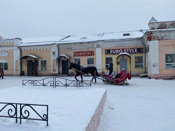 Г. Шуя. Шуйский Арбат, катание на санях