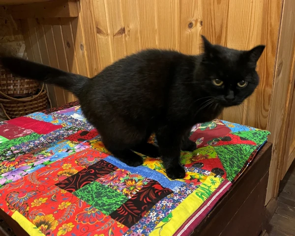 Хозяин коттеджа
