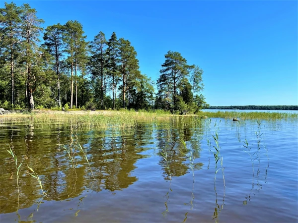 Подплываем к островку