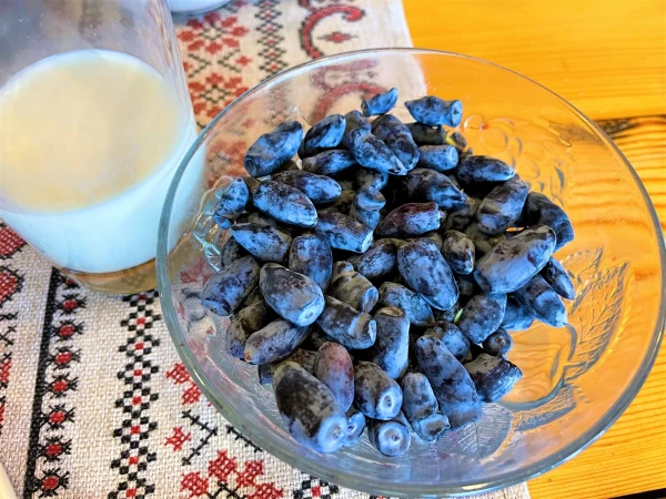 Вкус Карелии. Жимолость и парное молоко