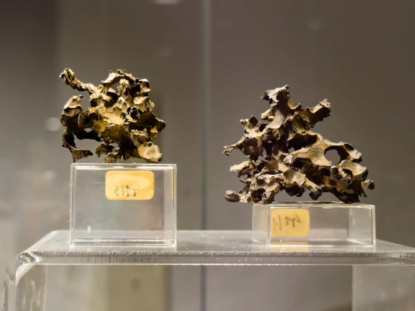 2024-03-02 Oddział Muzeum Mineralogicznego Uniwersytetu Wrocławskiego