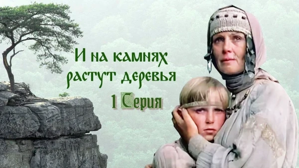 И на камнях растут деревья...