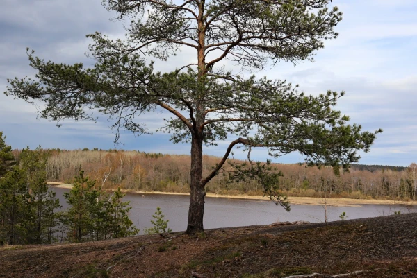 Выборг. Парк Монрепо.