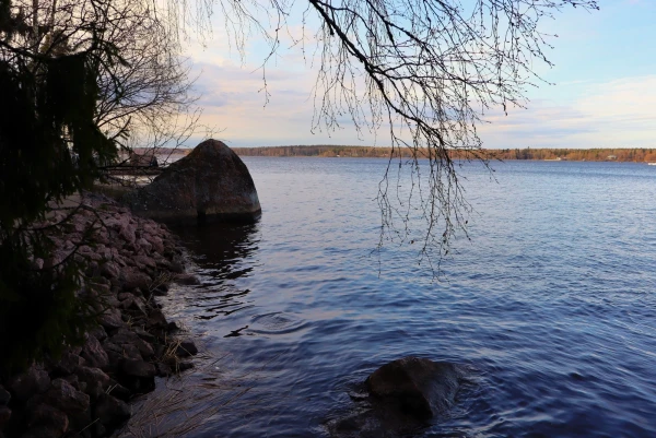 Выборг. Парк Монрепо.