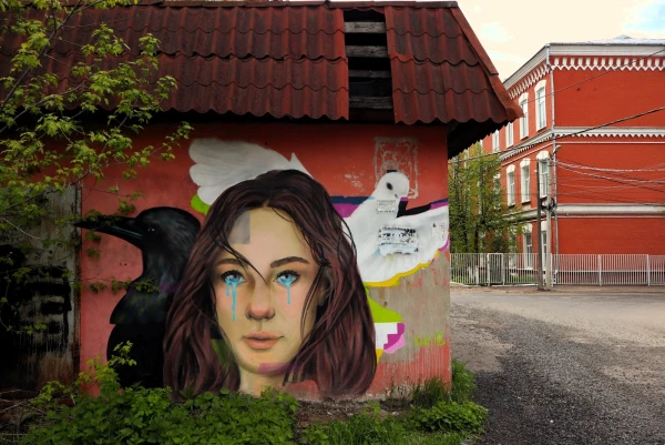 Тверь. Морозовский городок. Двор Пролетарки. А это в мою коллекцию муралов и граффити.