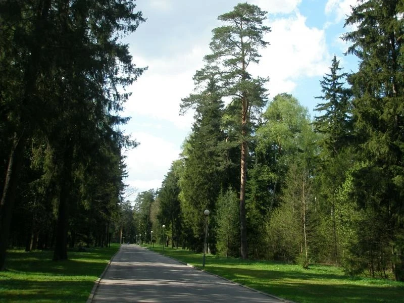 Фотография №10