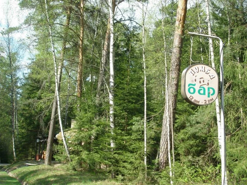 Возле этого бара тусовался ёжик