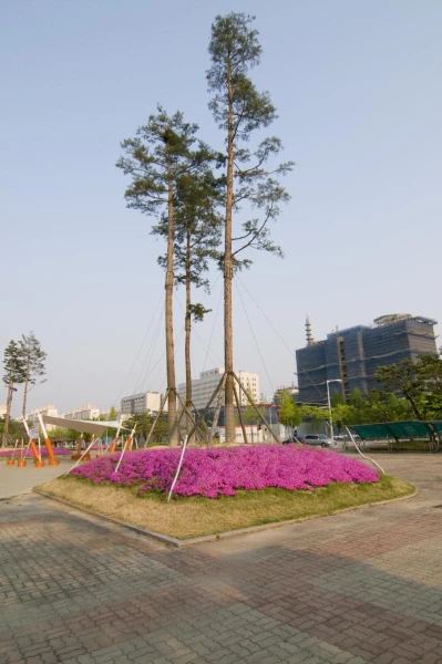 Daejeon city
