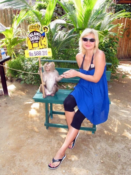 Island Safari