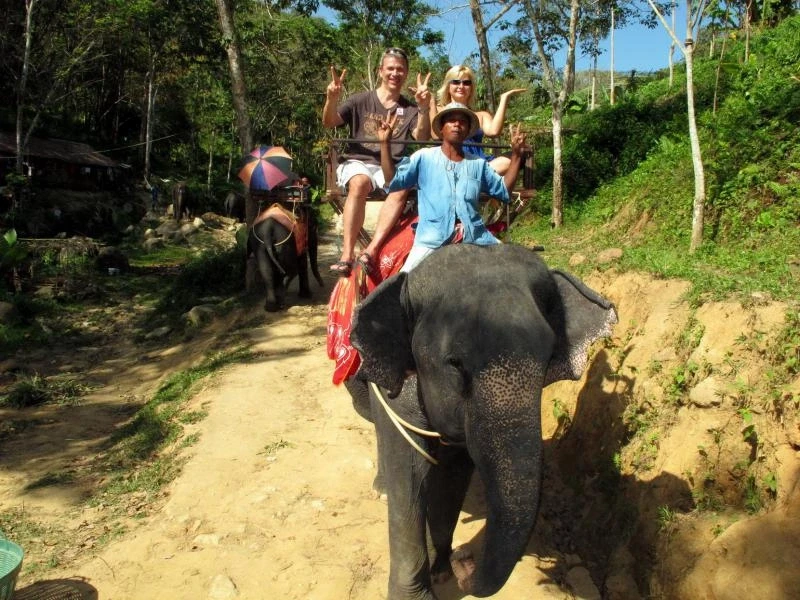 Island Safari
