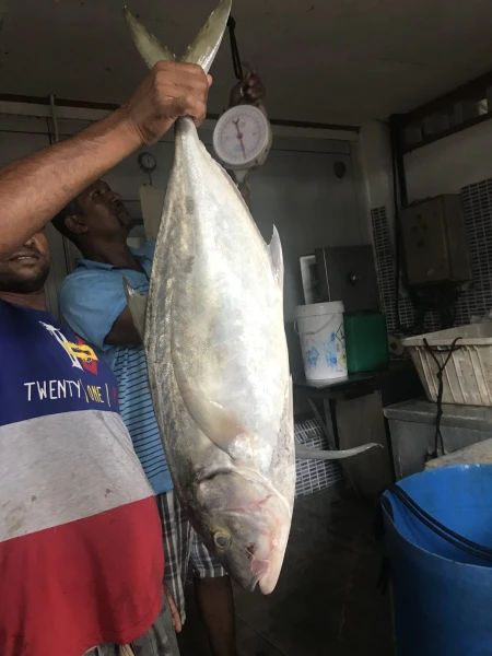 Jack fish 6kg. На ужин 
