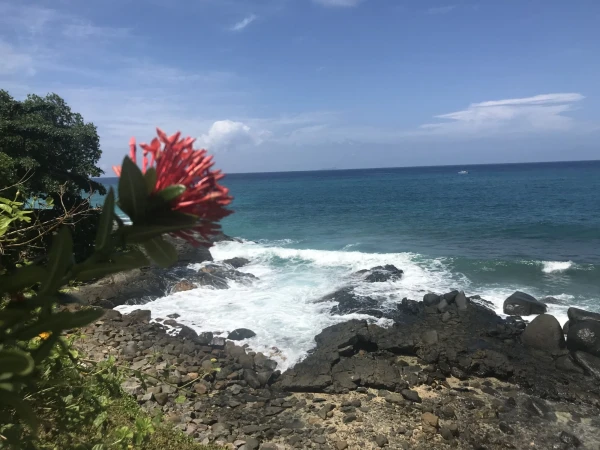 our sea view