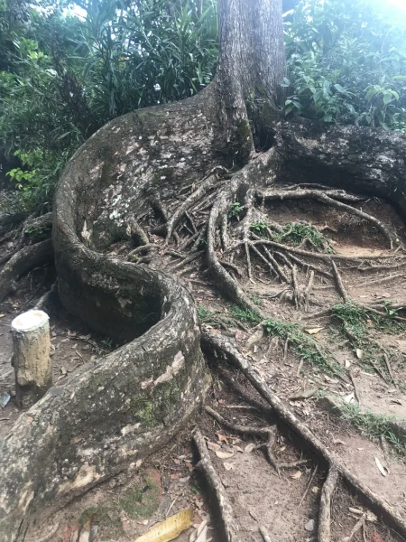National park Morne