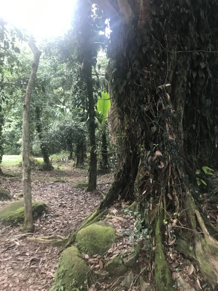 National park Morne