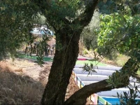 El Almendro De La Tia Teresa 