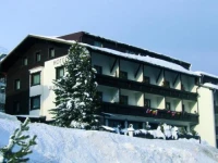Alpenhof 3*