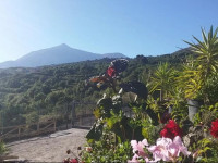 Ecolodge Tenerife