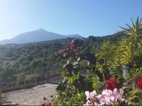 Ecolodge Tenerife 