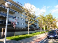 Apartamentos Blue Moon