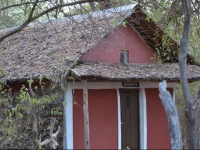 Maasai Simba Camp 