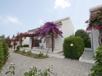 Citrus Tree Gardens 3*