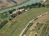 Villa Saline 3*