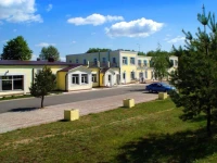 Vishneviy sad / Вишневый сад 3*
