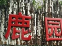 Luyuan Mountain Villa 