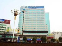 Jiujiang Chengtou International Hotel 