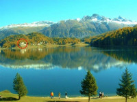 Waldhaus am See