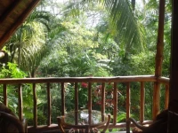 Pachamama Tropical Garden Lodge 2*