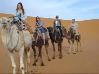 Merzouga Camel Camp South 