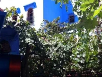 Casa Elias 