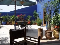 Les Palmiers De Zohour 