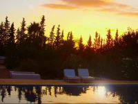 Atlas Olive Retreat 