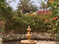 La Palmeraie De Massa 