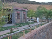 Tamanoucht 