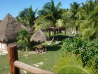 Golden Paradise Hostel 