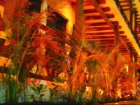 La Constanza de Rulo 