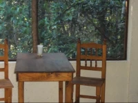Treetop Palapa 