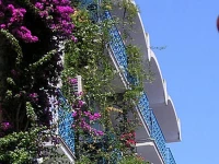 Bristol Terme 3*