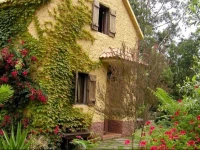 Cabana do Pico 