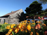 Casa do Ribeirinho