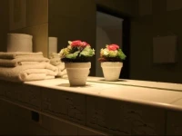 Hotel Jester 3*